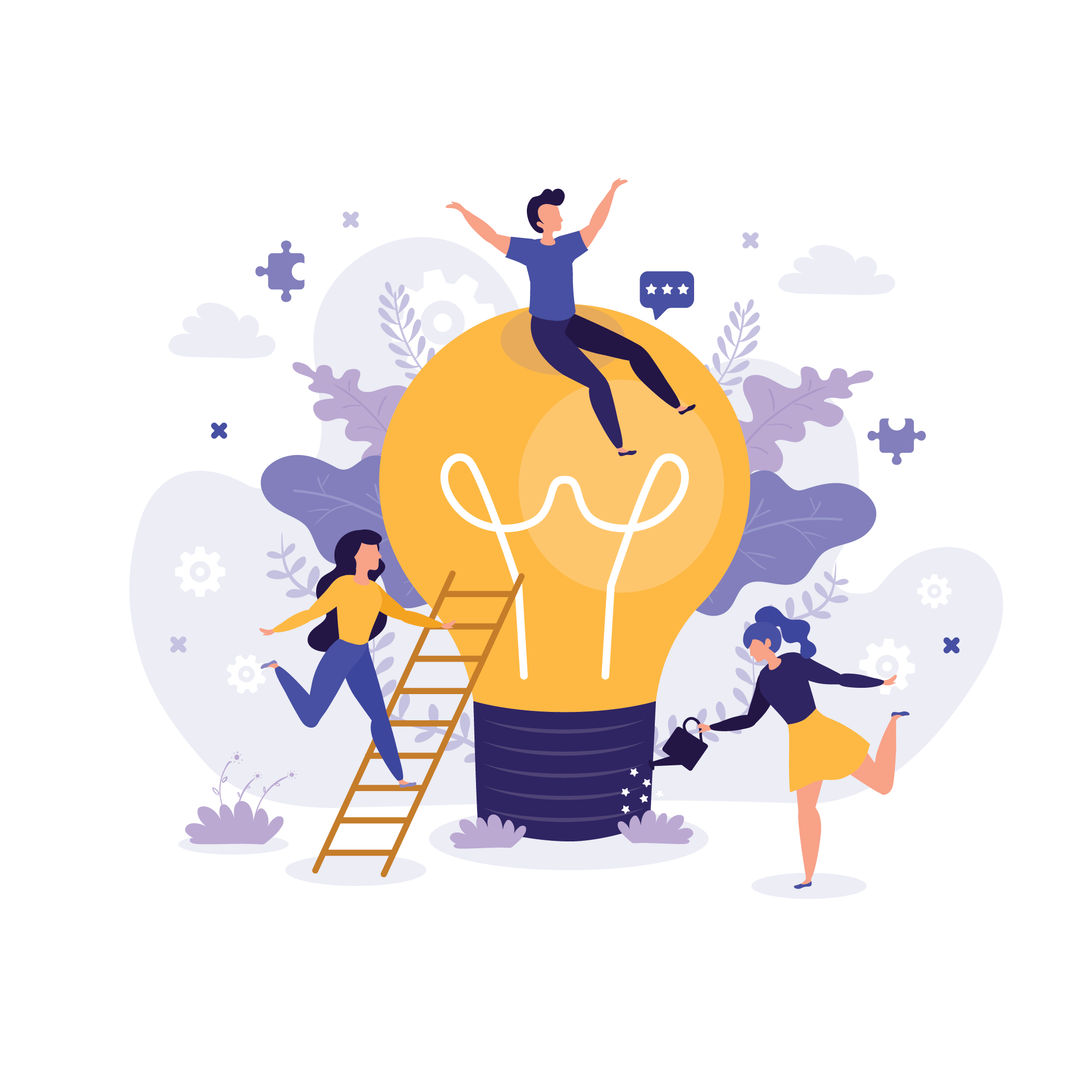 Solution & Service