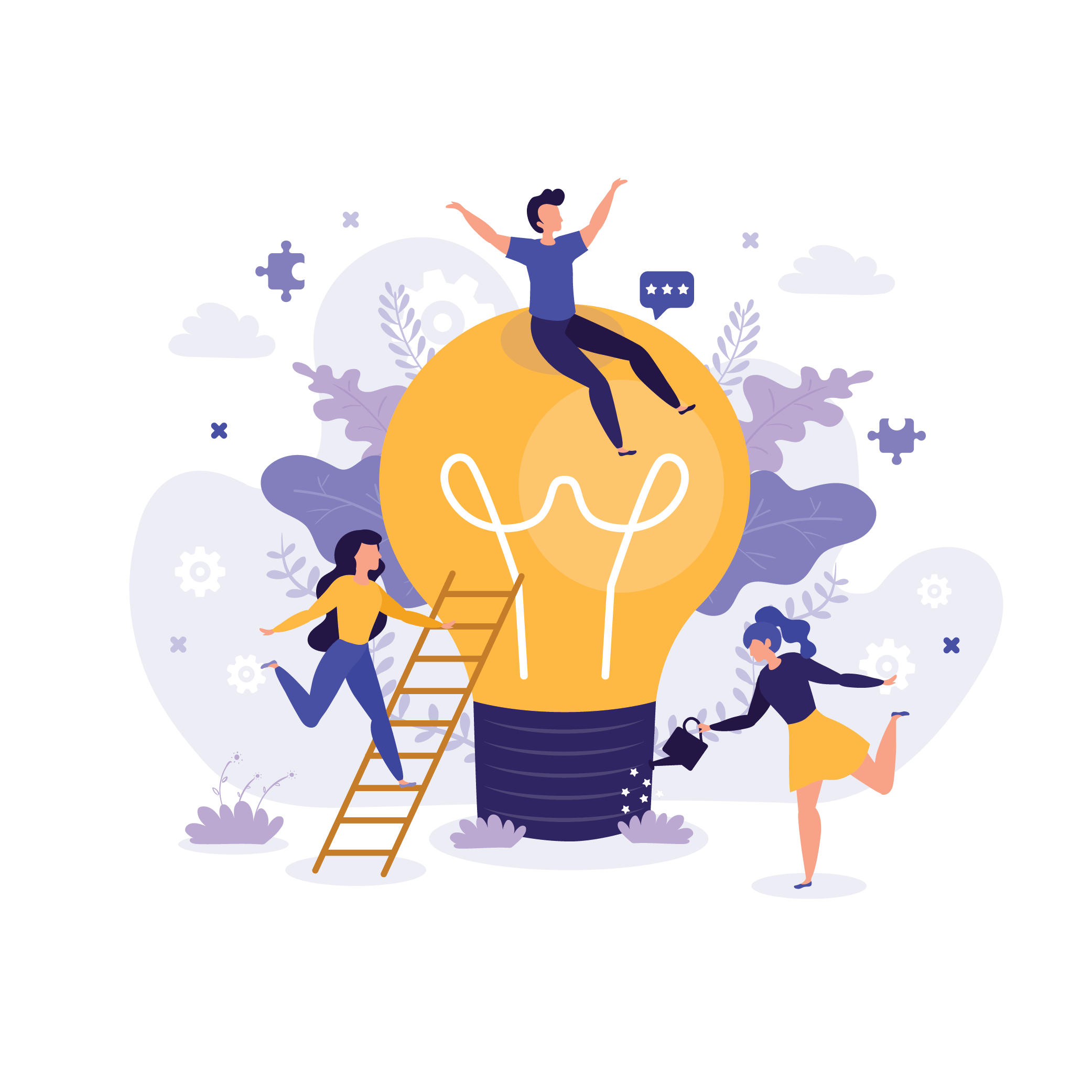 Solution & Service